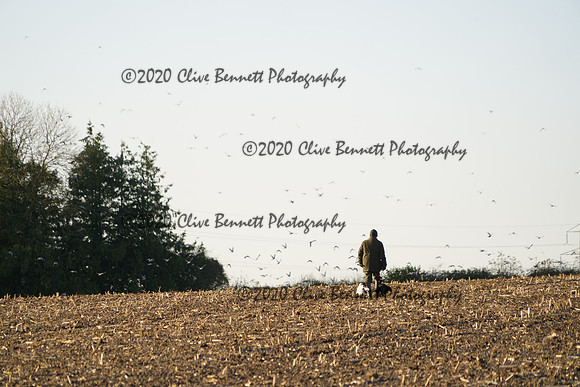 _CAB0549