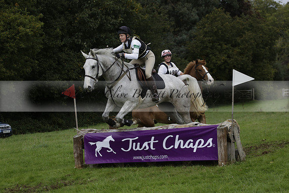 Chiddingfold, Leconfield and Cowdray Hunt, Hunter Trials at Iping on Sunday 20 October 2013. 2013.10.20 www.polopictures.co.uk