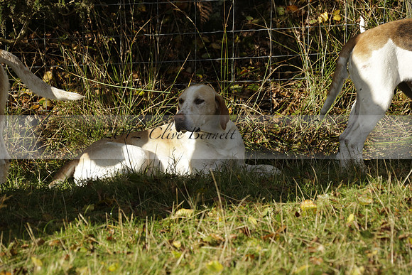 Devon & Somerset StagHounds meet at Five Cross Ways on Thursday 17 October 2013. 2013.10.17 www.polopictures.co.uk