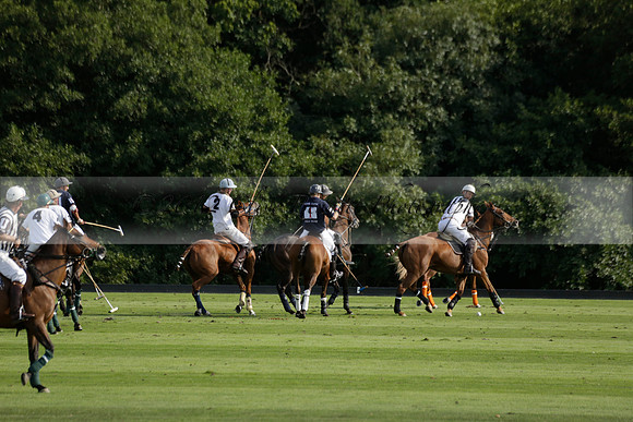 Pandas (white) v Home Farm (navy) in a Park House West Sussex Cup Polo match on Brooksfield at Cowdray Park Polo Club on Friday 30 August 2013. 2013.08.30 www.polopictures.co.uk