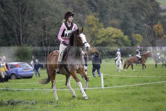 Chiddingfold, Leconfield and Cowdray Hunt, Hunter Trials at Iping on Sunday 20 October 2013. 2013.10.20 www.polopictures.co.uk