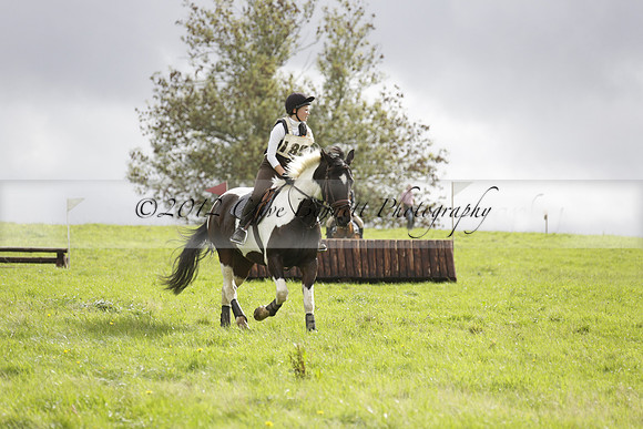 Chiddingfold, Leconfield and Cowdray Hunt, Hunter Trials at Iping on Sunday 20 October 2013. 2013.10.20 www.polopictures.co.uk