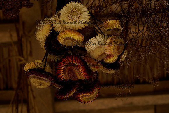 _CAB1485