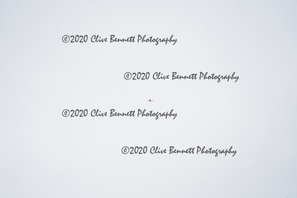 _CAB5231