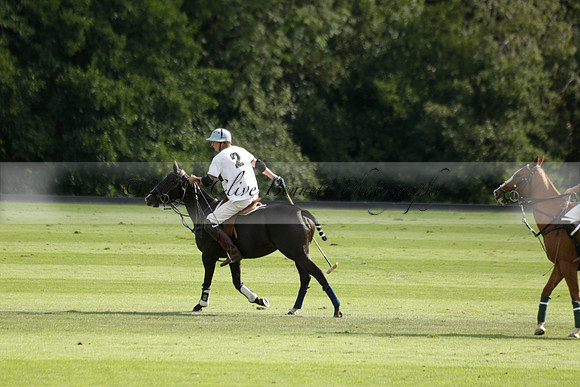 Pandas (white) v Home Farm (navy) in a Park House West Sussex Cup Polo match on Brooksfield at Cowdray Park Polo Club on Friday 30 August 2013. 2013.08.30 www.polopictures.co.uk
