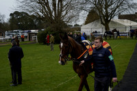 Race 4 The Barry Dennis Trophy Handicap Hurdle Race 2025.02.23