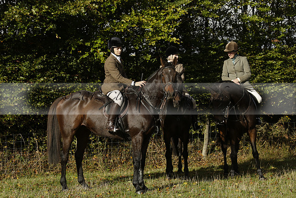 Devon & Somerset StagHounds meet at Five Cross Ways on Thursday 17 October 2013. 2013.10.17 www.polopictures.co.uk