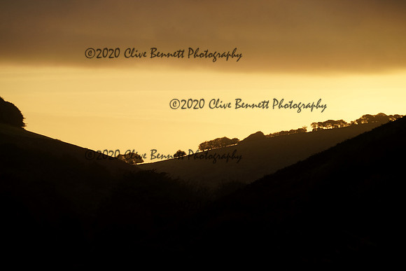 _CAB3016