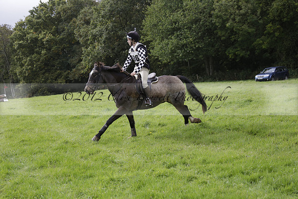 Chiddingfold, Leconfield and Cowdray Hunt, Hunter Trials at Iping on Sunday 20 October 2013. 2013.10.20 www.polopictures.co.uk
