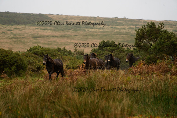 _CAB0673