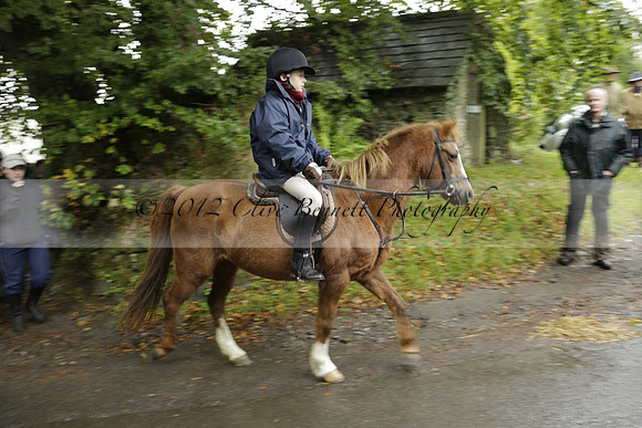 Devon & Somerset Stag Hounds meet at Liscombe on Saturday 12 October 2013 2013.10.12 www.polopictures.co.uk