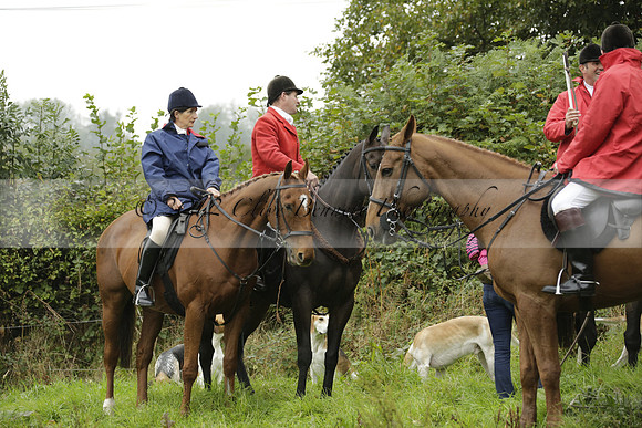 Devon & Somerset Stag Hounds meet at Liscombe on Saturday 12 October 2013 2013.10.12 www.polopictures.co.uk
