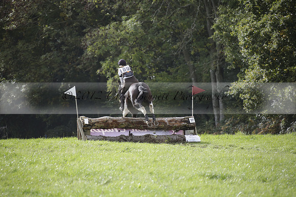 Chiddingfold, Leconfield and Cowdray Hunt, Hunter Trials at Iping on Sunday 20 October 2013. 2013.10.20 www.polopictures.co.uk