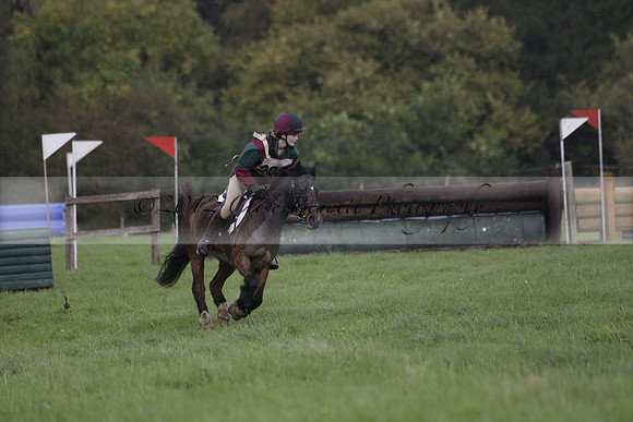 Chiddingfold, Leconfield and Cowdray Hunt, Hunter Trials at Iping on Sunday 20 October 2013. 2013.10.20 www.polopictures.co.uk