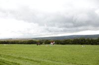 Devon & Somerset Stag Hounds meet at Hillhead Cross on Monday 14 October 2013. 2013.10.14 www.polopictures.co.uk