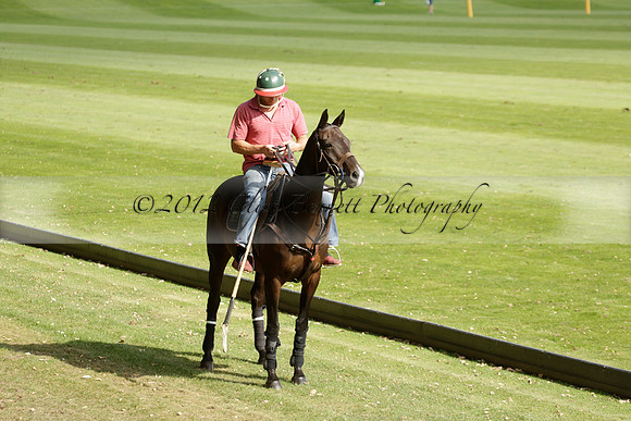 Pandas (white) v Home Farm (navy) in a Park House West Sussex Cup Polo match on Brooksfield at Cowdray Park Polo Club on Friday 30 August 2013. 2013.08.30 www.polopictures.co.uk