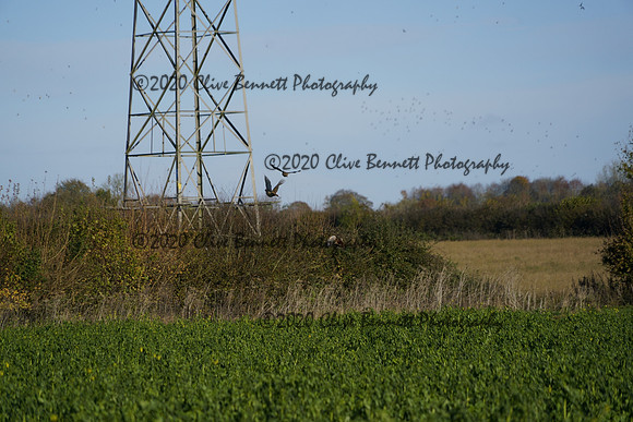 _CAB0657
