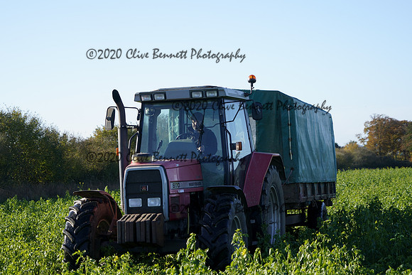 _CAB0614