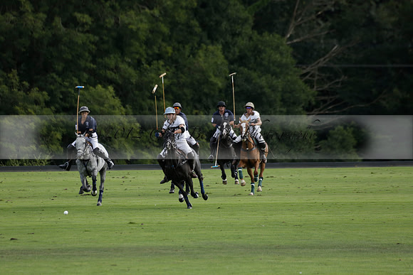 Pandas (white) v Home Farm (navy) in a Park House West Sussex Cup Polo match on Brooksfield at Cowdray Park Polo Club on Friday 30 August 2013. 2013.08.30 www.polopictures.co.uk