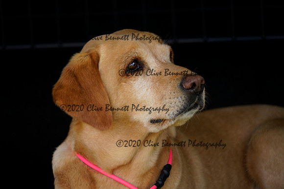 _CAB0667