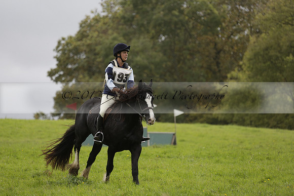 Chiddingfold, Leconfield and Cowdray Hunt, Hunter Trials at Iping on Sunday 20 October 2013. 2013.10.20 www.polopictures.co.uk