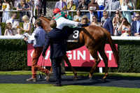 Race 3 The LiveScoreBet Handicap Stakes 2025.08.24