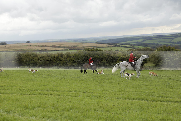 Devon & Somerset Stag Hounds meet at Hillhead Cross on Monday 14 October 2013. 2013.10.14 www.polopictures.co.uk