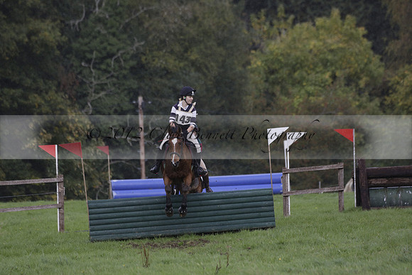 Chiddingfold, Leconfield and Cowdray Hunt, Hunter Trials at Iping on Sunday 20 October 2013. 2013.10.20 www.polopictures.co.uk