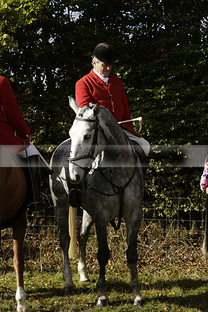 Devon & Somerset StagHounds meet at Five Cross Ways on Thursday 17 October 2013. 2013.10.17 www.polopictures.co.uk