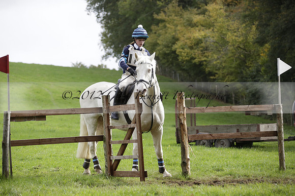 Chiddingfold, Leconfield and Cowdray Hunt, Hunter Trials at Iping on Sunday 20 October 2013. 2013.10.20 www.polopictures.co.uk
