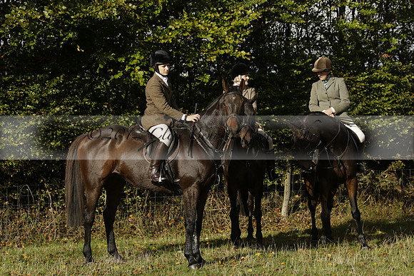 Devon & Somerset StagHounds meet at Five Cross Ways on Thursday 17 October 2013. 2013.10.17 www.polopictures.co.uk