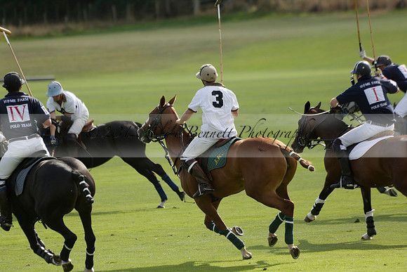 Pandas (white) v Home Farm (navy) in a Park House West Sussex Cup Polo match on Brooksfield at Cowdray Park Polo Club on Friday 30 August 2013. 2013.08.30 www.polopictures.co.uk