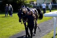Race 4 The Betgoodwin Super Tommy Cannon Handicap Hurdle Race 2025.04.11