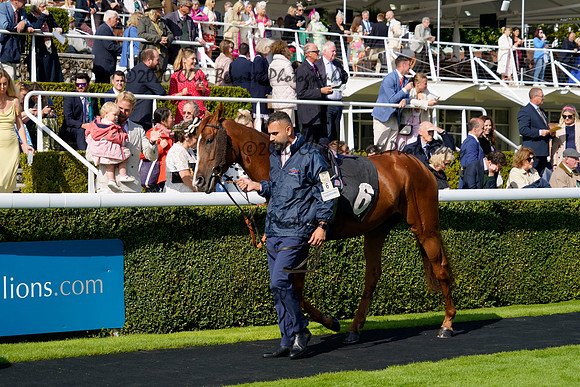 _CAB2710