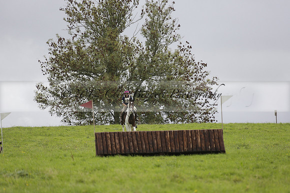 Chiddingfold, Leconfield and Cowdray Hunt, Hunter Trials at Iping on Sunday 20 October 2013. 2013.10.20 www.polopictures.co.uk