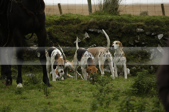 Devon & Somerset Staghounds meet at Larkbarrow Corner. North Devon. 2013.10.18 www.polopictures.co.uk