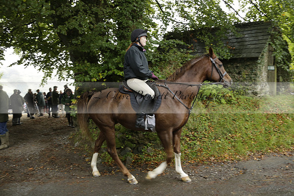 Devon & Somerset Stag Hounds meet at Liscombe on Saturday 12 October 2013 2013.10.12 www.polopictures.co.uk