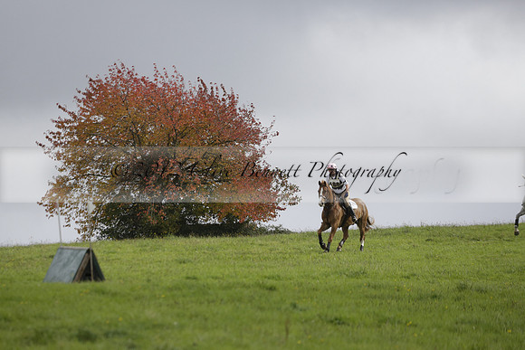 Chiddingfold, Leconfield and Cowdray Hunt, Hunter Trials at Iping on Sunday 20 October 2013. 2013.10.20 www.polopictures.co.uk