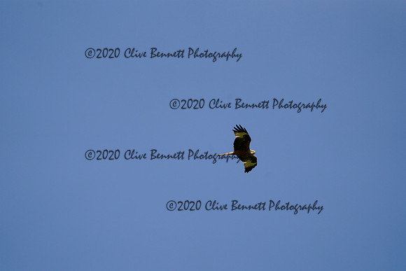 _CAB0965
