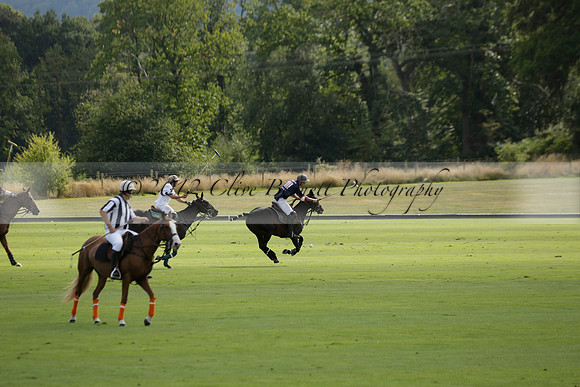 Pandas (white) v Home Farm (navy) in a Park House West Sussex Cup Polo match on Brooksfield at Cowdray Park Polo Club on Friday 30 August 2013. 2013.08.30 www.polopictures.co.uk