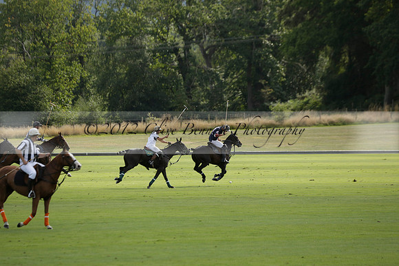 Pandas (white) v Home Farm (navy) in a Park House West Sussex Cup Polo match on Brooksfield at Cowdray Park Polo Club on Friday 30 August 2013. 2013.08.30 www.polopictures.co.uk