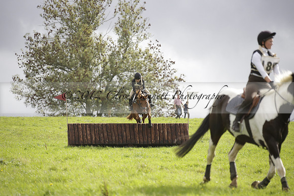 Chiddingfold, Leconfield and Cowdray Hunt, Hunter Trials at Iping on Sunday 20 October 2013. 2013.10.20 www.polopictures.co.uk