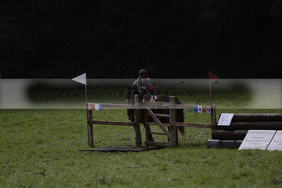 Chiddingfold, Leconfield and Cowdray Hunt, Hunter Trials at Iping on Sunday 20 October 2013. 2013.10.20 www.polopictures.co.uk