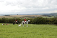Devon & Somerset Stag Hounds meet at Hillhead Cross on Monday 14 October 2013. 2013.10.14 www.polopictures.co.uk