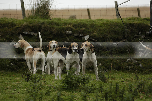 Devon & Somerset Staghounds meet at Larkbarrow Corner. North Devon. 2013.10.18 www.polopictures.co.uk