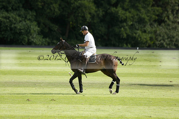 Pandas (white) v Home Farm (navy) in a Park House West Sussex Cup Polo match on Brooksfield at Cowdray Park Polo Club on Friday 30 August 2013. 2013.08.30 www.polopictures.co.uk