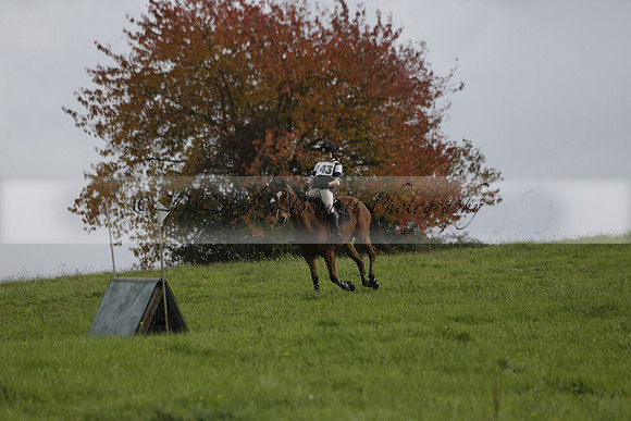 Chiddingfold, Leconfield and Cowdray Hunt, Hunter Trials at Iping on Sunday 20 October 2013. 2013.10.20 www.polopictures.co.uk