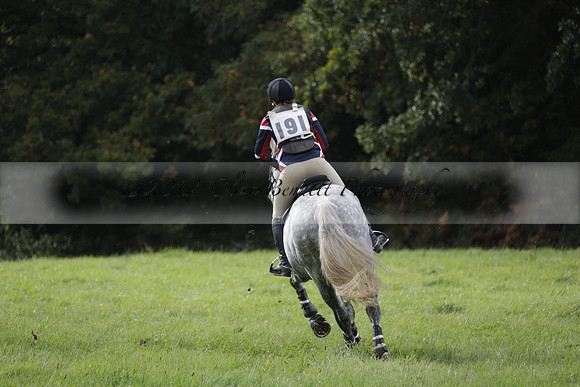 Chiddingfold, Leconfield and Cowdray Hunt, Hunter Trials at Iping on Sunday 20 October 2013. 2013.10.20 www.polopictures.co.uk