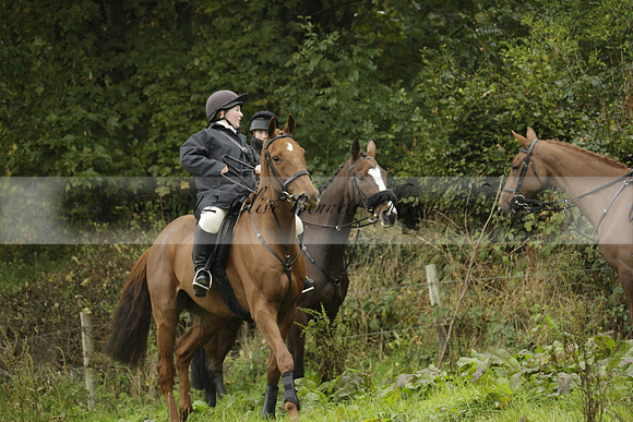Devon & Somerset Stag Hounds meet at Liscombe on Saturday 12 October 2013 2013.10.12 www.polopictures.co.uk