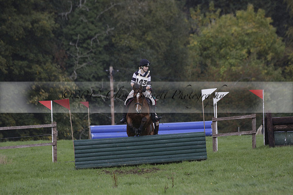 Chiddingfold, Leconfield and Cowdray Hunt, Hunter Trials at Iping on Sunday 20 October 2013. 2013.10.20 www.polopictures.co.uk